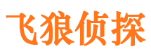 仙游市私家侦探